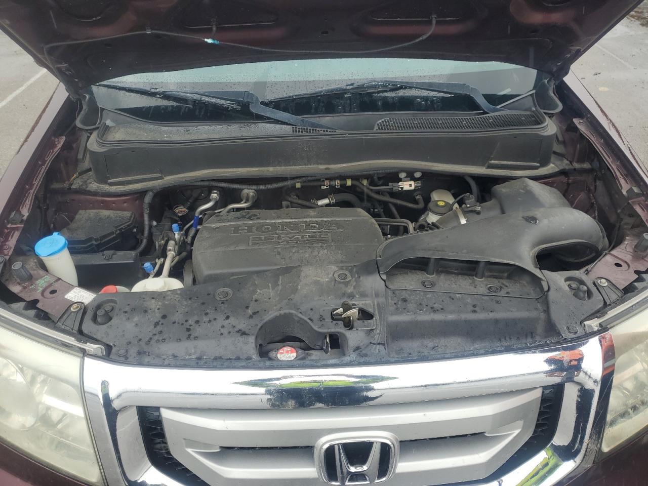 5FNYF4H78BB074572 2011 Honda Pilot Exln