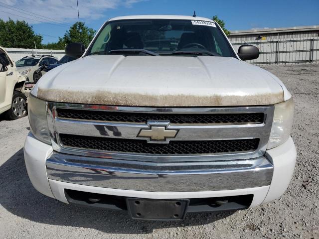 2008 Chevrolet Silverado C1500 VIN: 1GCEC19068Z176824 Lot: 54538954