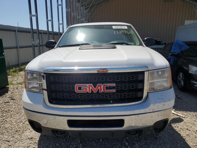 2013 GMC Sierra K2500 Heavy Duty VIN: 1GT02ZCGXDF170960 Lot: 55849074