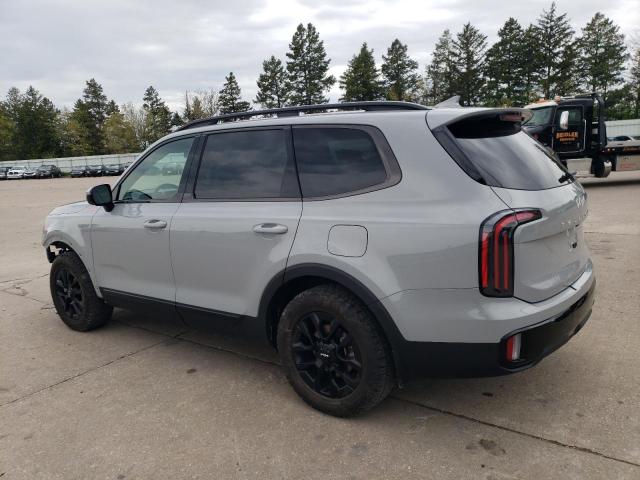 2024 Kia Telluride Sx VIN: 5XYP5DGC9RG447327 Lot: 53113184