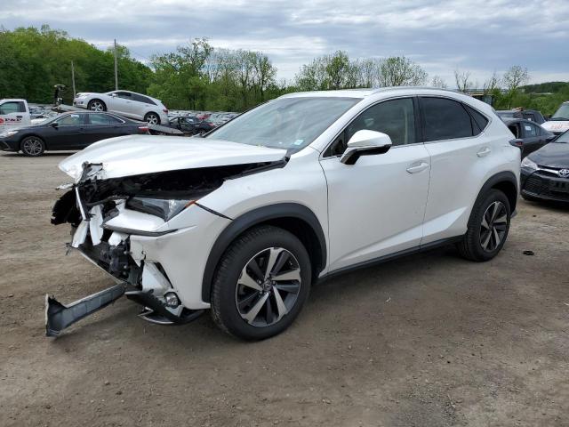 2020 Lexus Nx 300 VIN: JTJGARDZ9L5005730 Lot: 54431574