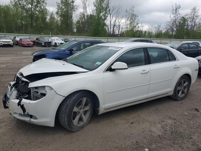 2011 Chevrolet Malibu 1Lt VIN: 1G1ZC5E15BF219980 Lot: 54724404