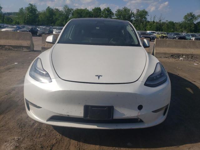 2020 Tesla Model Y VIN: 5YJYGDEE8LF037376 Lot: 56099484