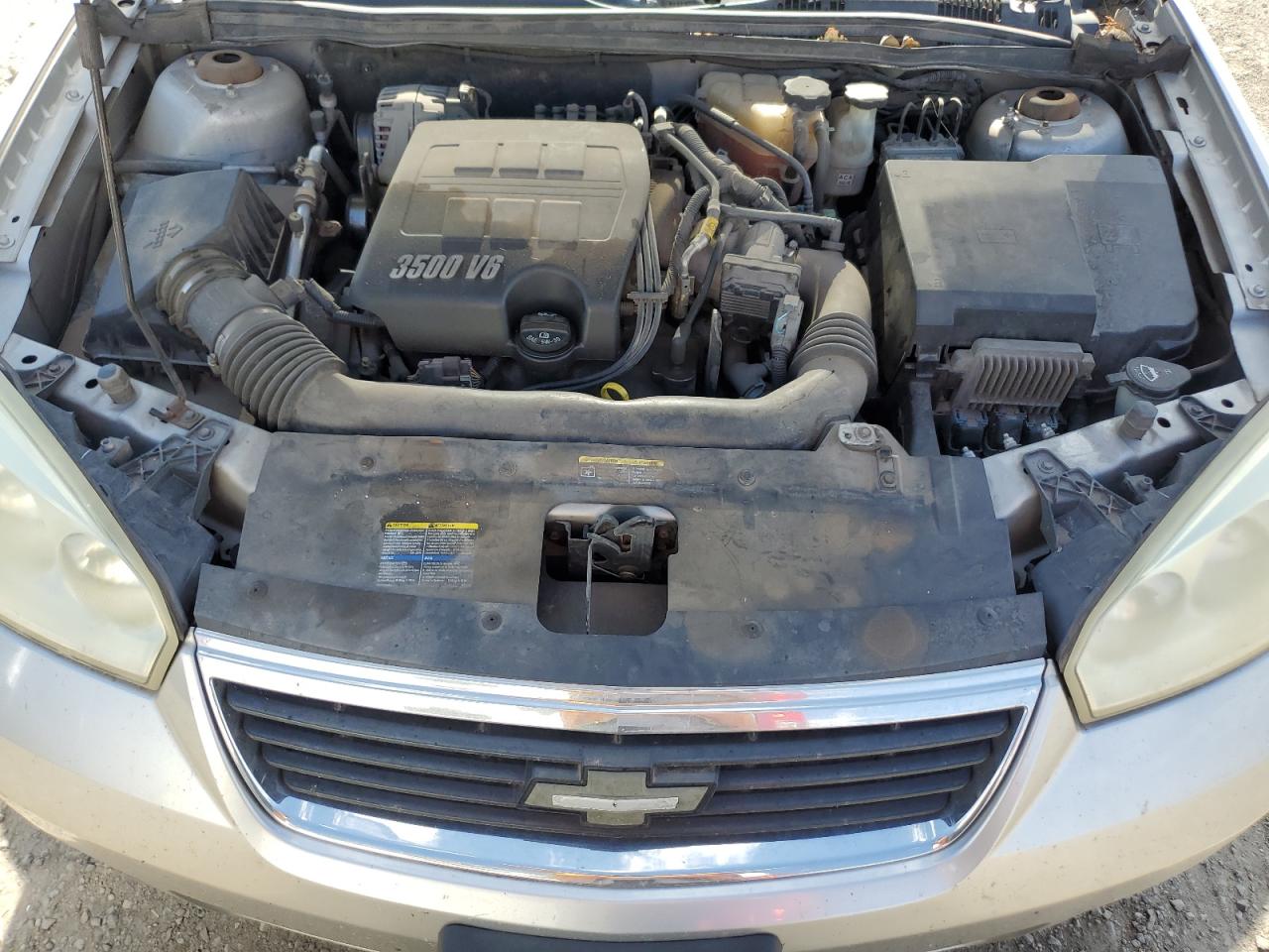 1G1ZT61816F248990 2006 Chevrolet Malibu Maxx Lt