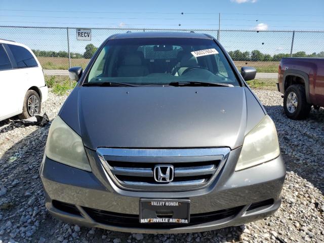 2007 Honda Odyssey Exl VIN: 5FNRL387X7B461722 Lot: 56037604