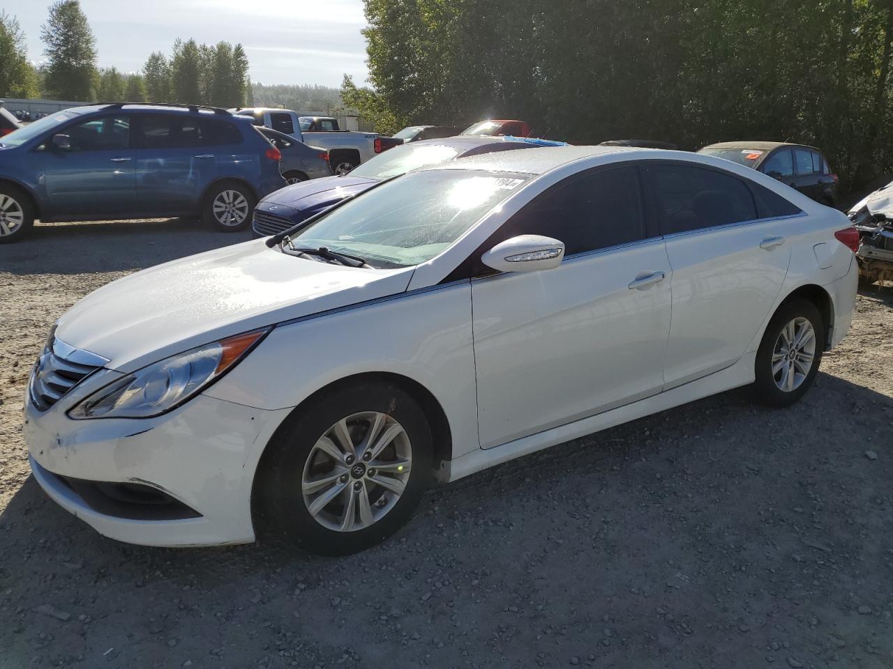 5NPEB4AC3EH909277 2014 Hyundai Sonata Gls