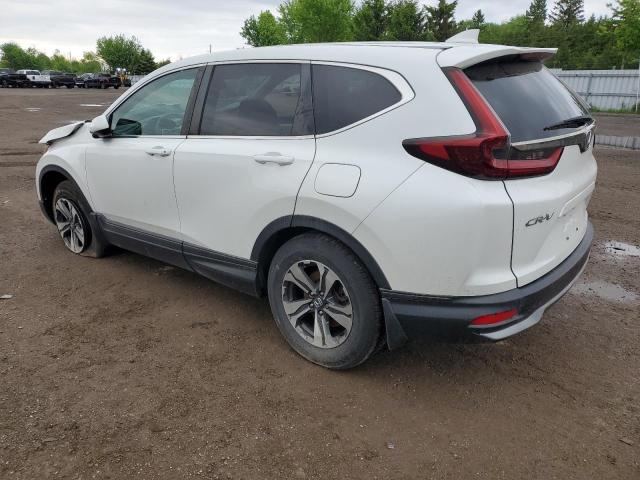 2020 Honda Cr-V Lx VIN: 2HKRW2H23LH219808 Lot: 56562594