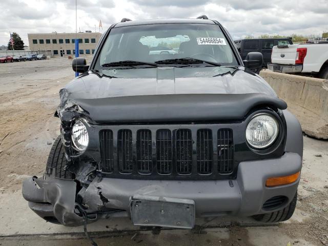 2002 Jeep Liberty Sport VIN: 1J4GL48K62W260027 Lot: 54466854