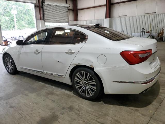 2014 Kia Cadenza Premium VIN: KNALN4D76E5138520 Lot: 54118324