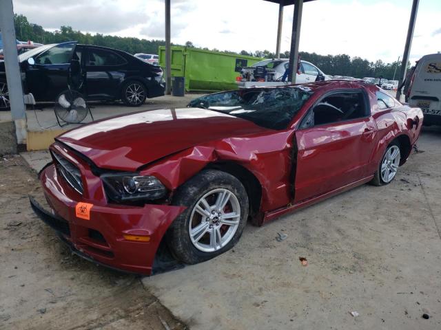 2013 Ford Mustang VIN: 1ZVBP8AM5D5268472 Lot: 53999564