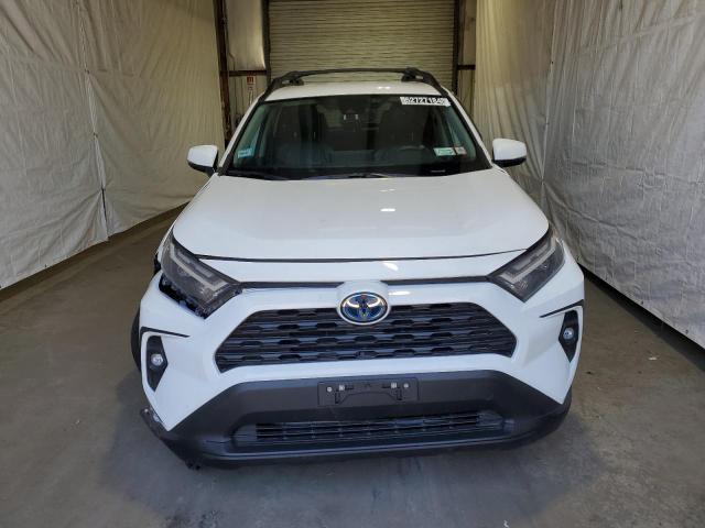 2023 TOYOTA RAV4 WOODL 2T3UWRFV2PW169708