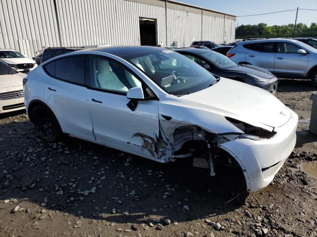 2023 TESLA MODEL Y - 7SAYGAEE3PF958542