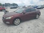 Lot #2957332419 2008 HONDA ACCORD EXL