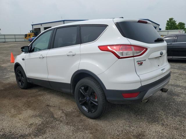 2014 Ford Escape Se VIN: 1FMCU9GX7EUC77135 Lot: 55402474