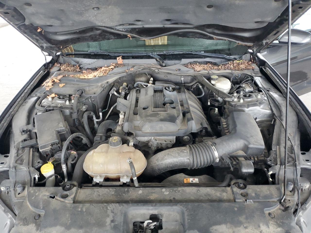 1FA6P8TH0F5362241 2015 Ford Mustang