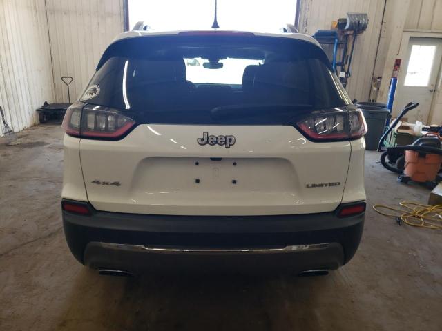 2019 Jeep Cherokee Limited VIN: 1C4PJMDN4KD320488 Lot: 55568504