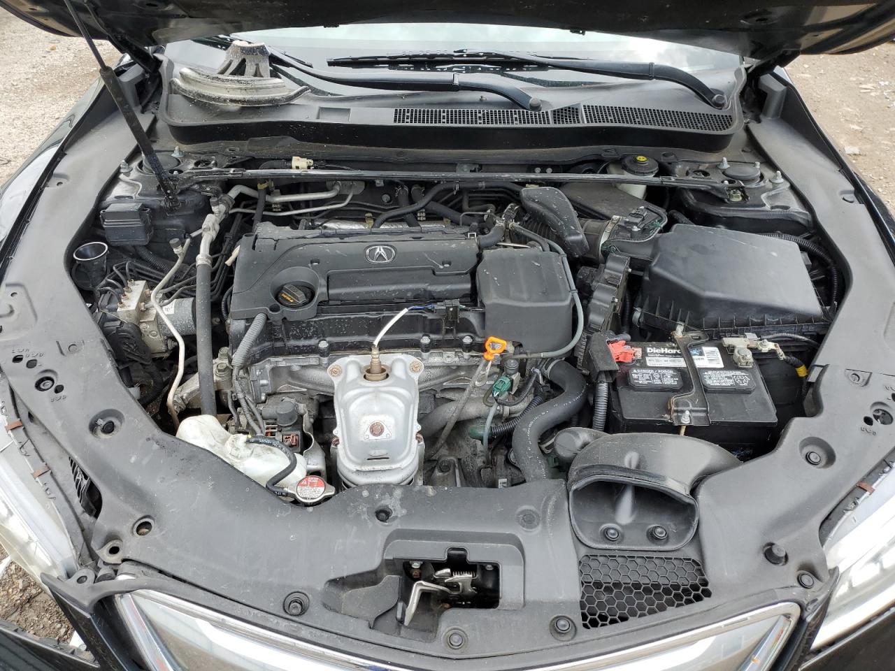 19UUB1F31GA006432 2016 Acura Tlx