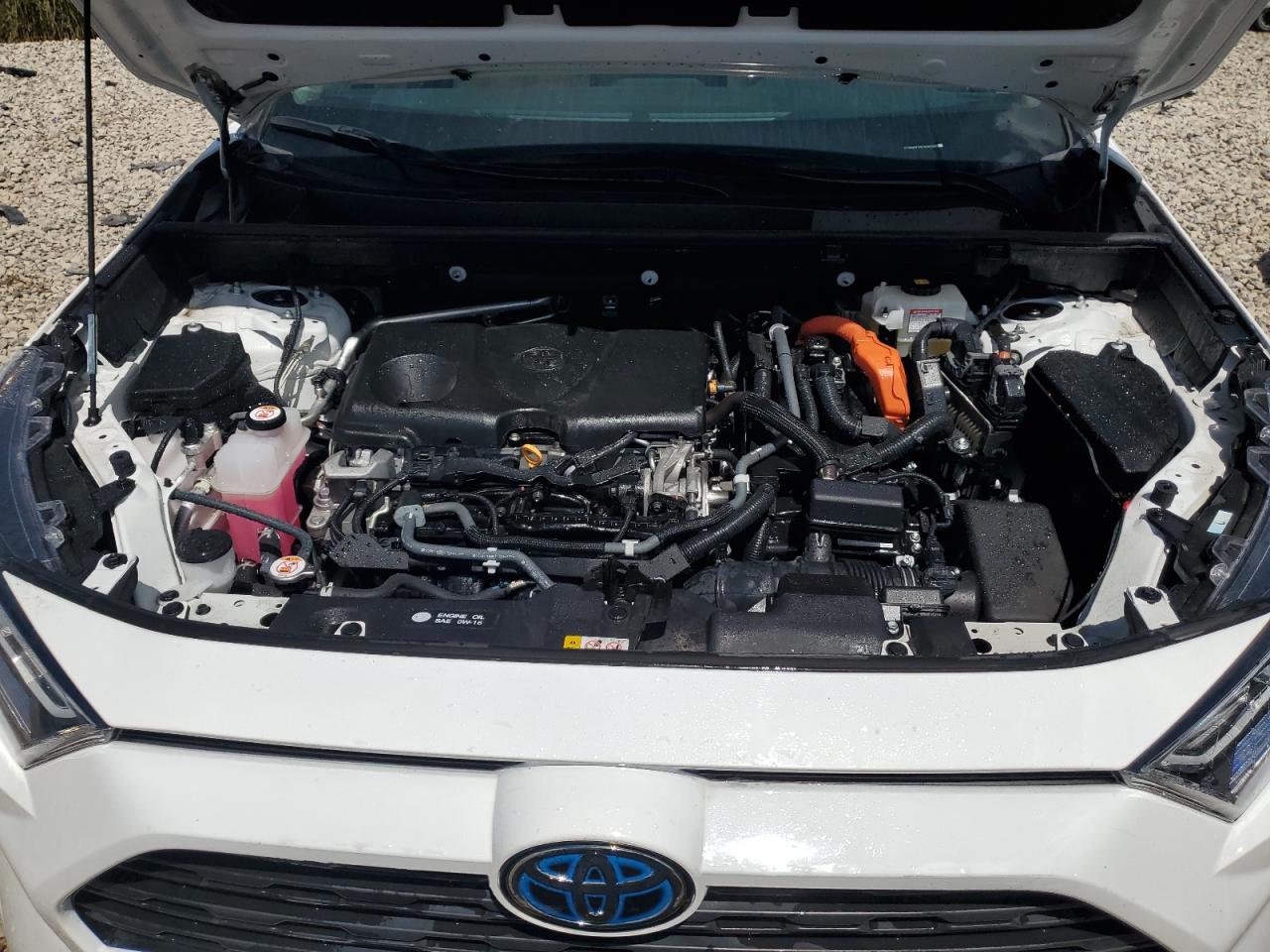 2T3RWRFV9LW080380 2020 Toyota Rav4 Xle