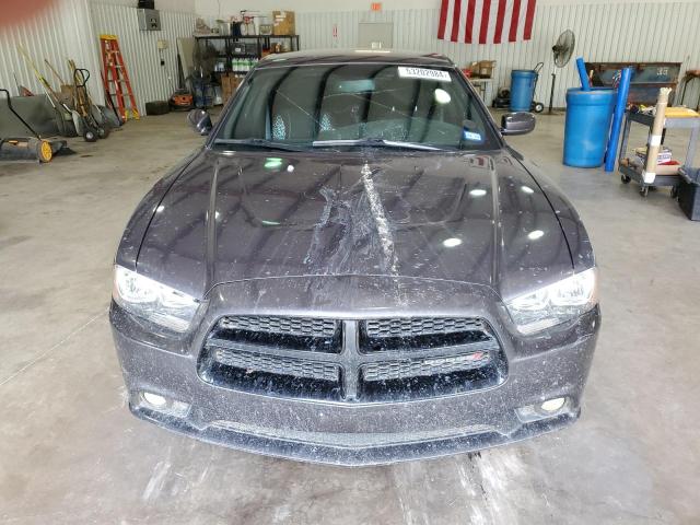 2014 Dodge Charger Sxt VIN: 2C3CDXHG8EH369918 Lot: 53202984