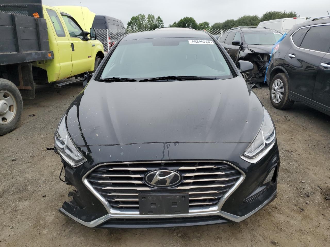 5NPE24AF8KH786212 2019 Hyundai Sonata Se