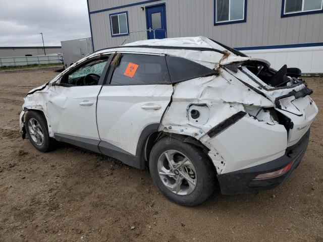 2024 Hyundai Tucson Sel VIN: 5NMJBCDE1RH316574 Lot: 56520514