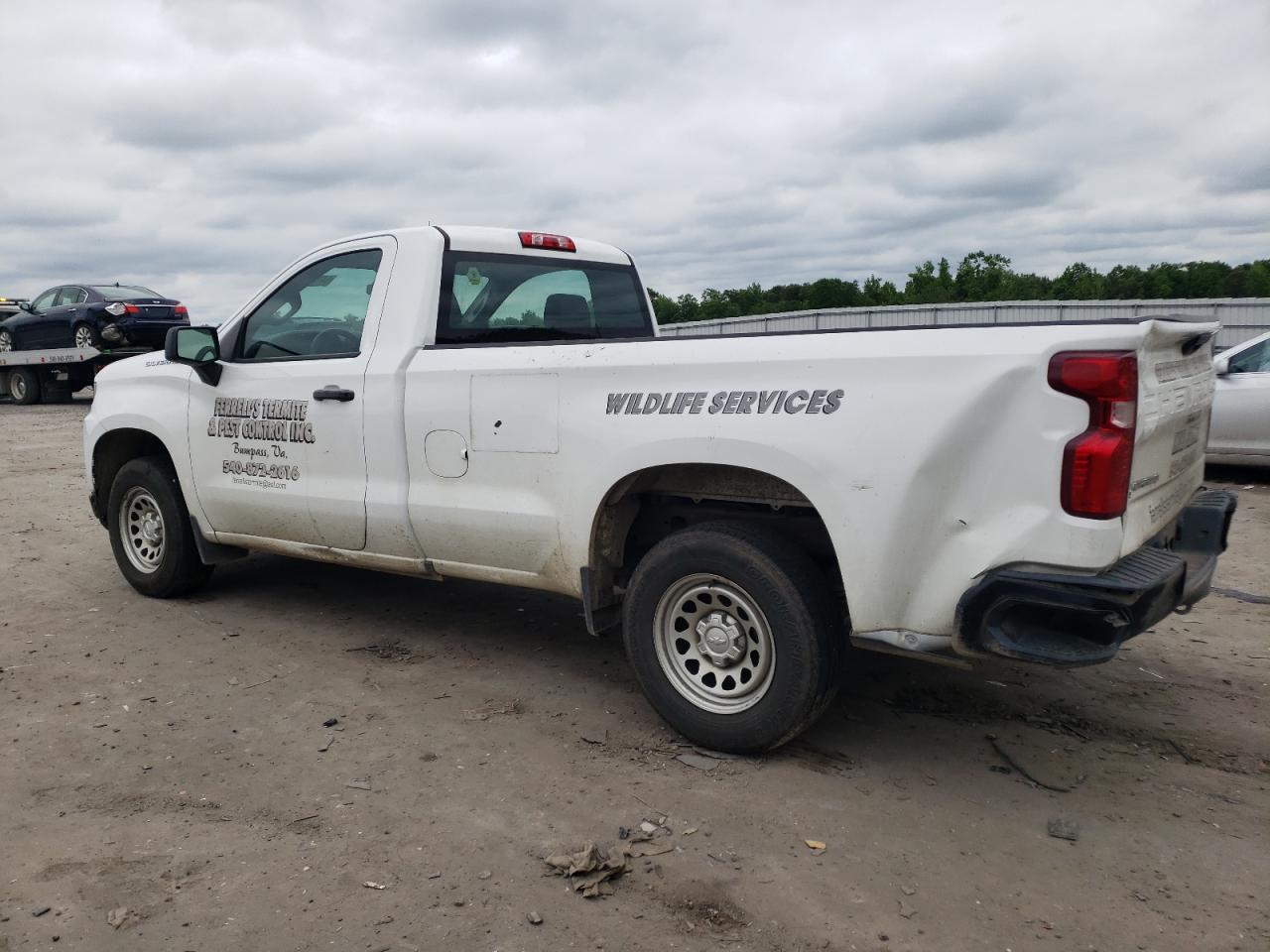 3GCNWAEH5KG303413 2019 Chevrolet Silverado C1500