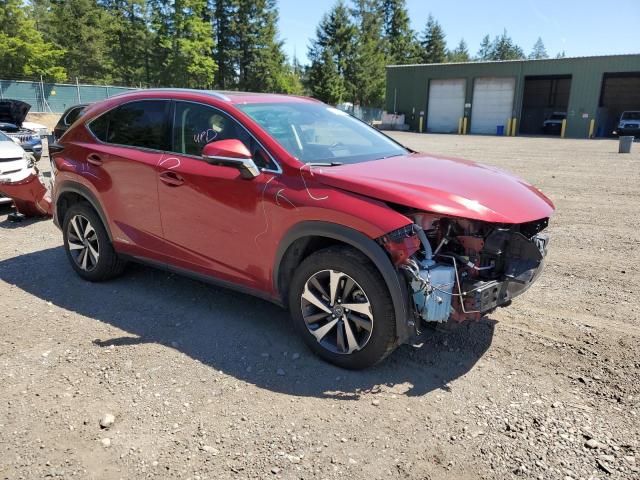 2020 Lexus Nx 300H VIN: JTJGJRDZ6L5005846 Lot: 57447414