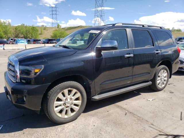 2010 Toyota Sequoia Platinum VIN: 5TDDW5G19AS033976 Lot: 55137724