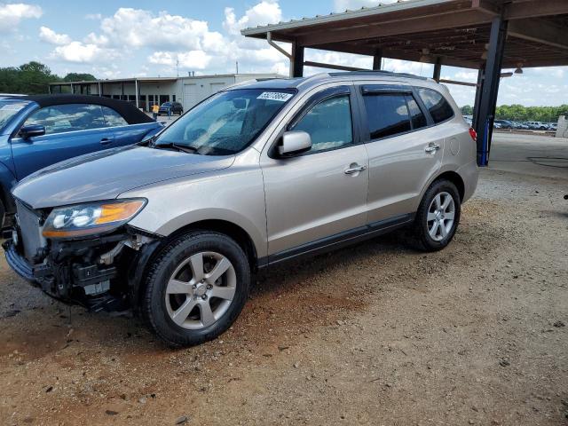 2007 Hyundai Santa Fe Se VIN: 5NMSH13E87H030100 Lot: 55273864