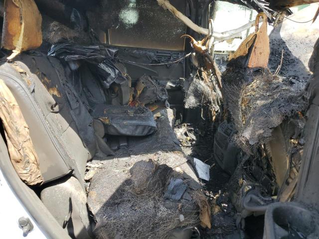 2023 HONDA PASSPORT E - 5FNYF8H00PB031460