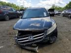 Lot #3024831407 2013 HONDA CROSSTOUR