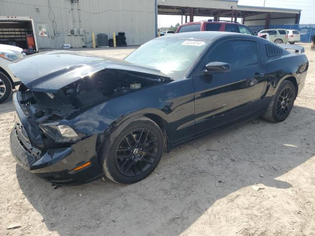 2014 Ford Mustang VIN: 1ZVBP8AMXE5287052 Lot: 55046014