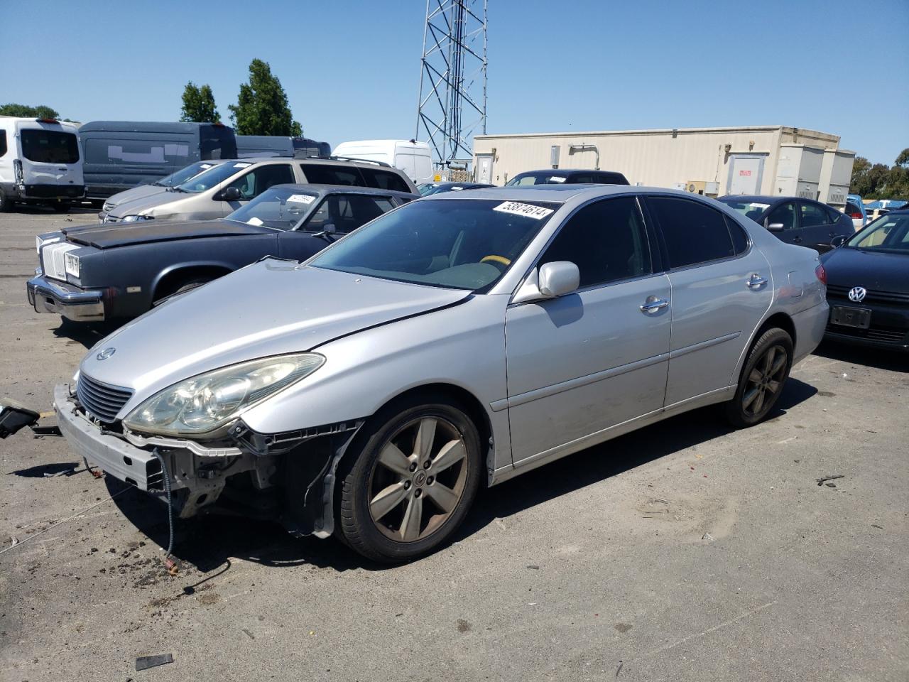 JTHBA30G365166656 2006 Lexus Es 330