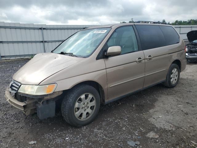 2003 Honda Odyssey Exl VIN: 5FNRL18703B127620 Lot: 53387954