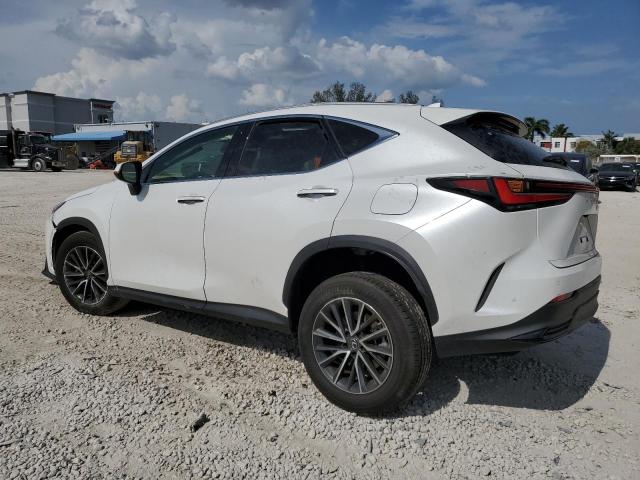 2023 LEXUS NX 250 JTJGDCAZ3P5012736