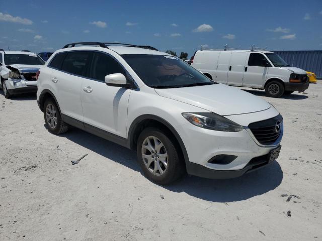 2014 Mazda Cx-9 Sport VIN: JM3TB3BV3E0440679 Lot: 54441944