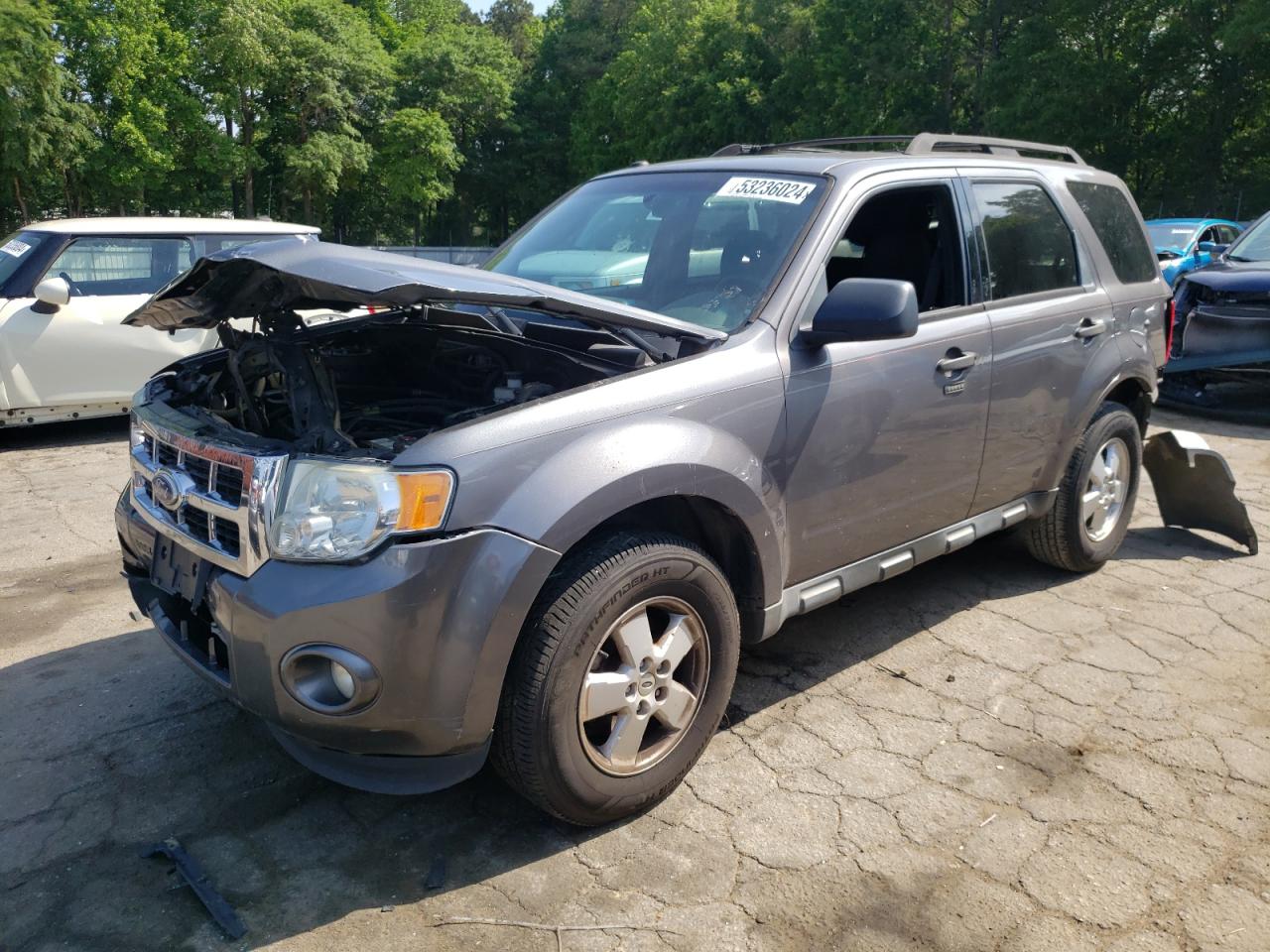 1FMCU0D73BKA37796 2011 Ford Escape Xlt