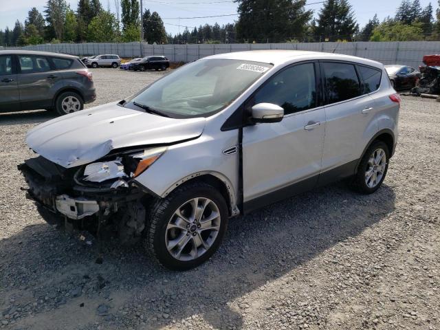 2013 Ford Escape Sel VIN: 1FMCU0HX1DUD79099 Lot: 55036304