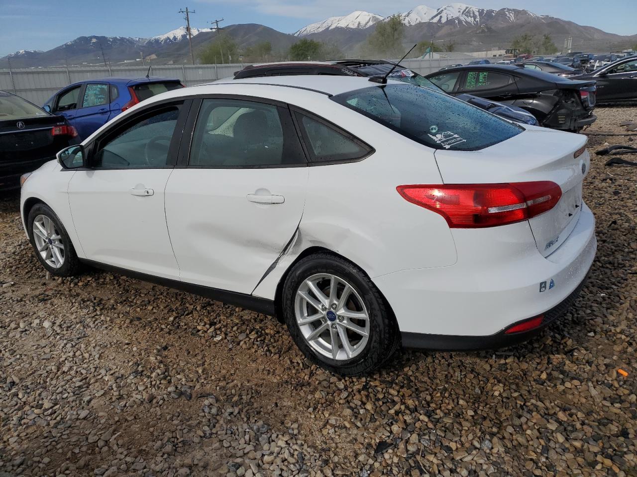 2015 Ford Focus Se vin: 1FADP3F28FL314239