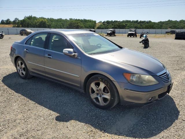 2005 Acura Rl VIN: JH4KB165X5C010860 Lot: 55477334