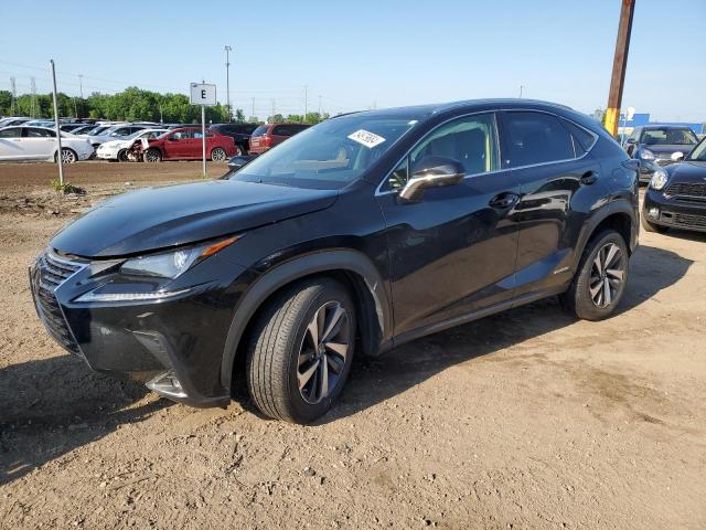 2021 Lexus Nx 300H Base VIN: JTJGJRDZXM2149712 Lot: 54979684