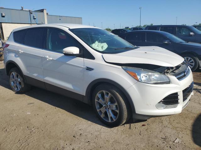 2013 Ford Escape Sel VIN: 1FMCU0H9XDUB69764 Lot: 55966224