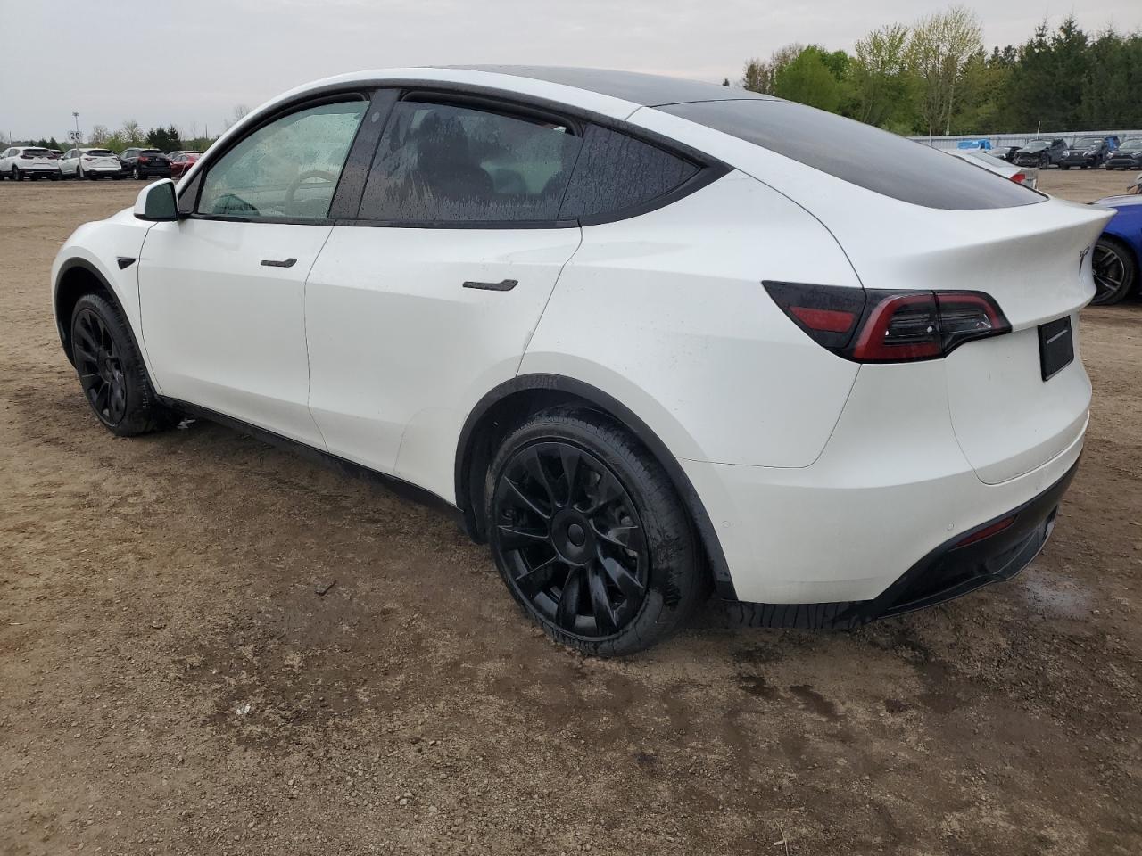 7SAYGDEE5PF585117 2023 Tesla Model Y