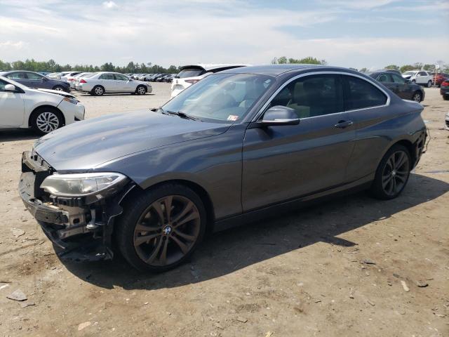 2016 BMW 228 I Sulev VIN: WBA1F9C51GV545374 Lot: 55698504