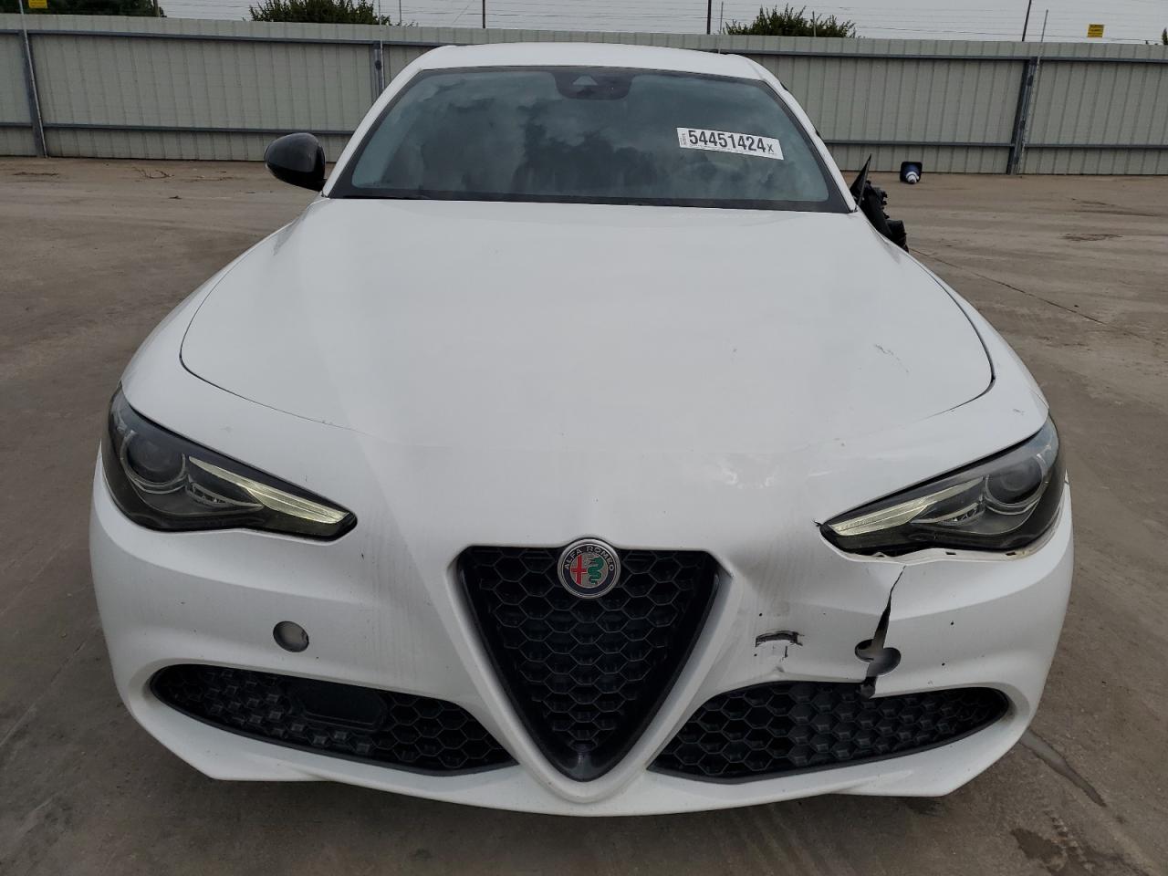 2020 Alfa Romeo Giulia vin: ZARFAMAN0L7623886