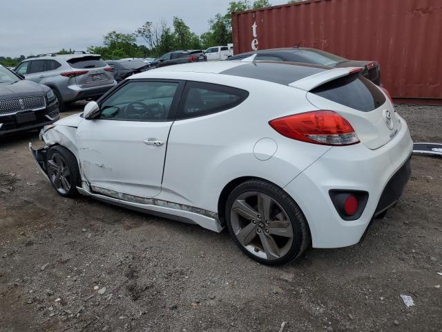 2013 Hyundai Veloster Turbo VIN: KMHTC6AE8DU166424 Lot: 55016464