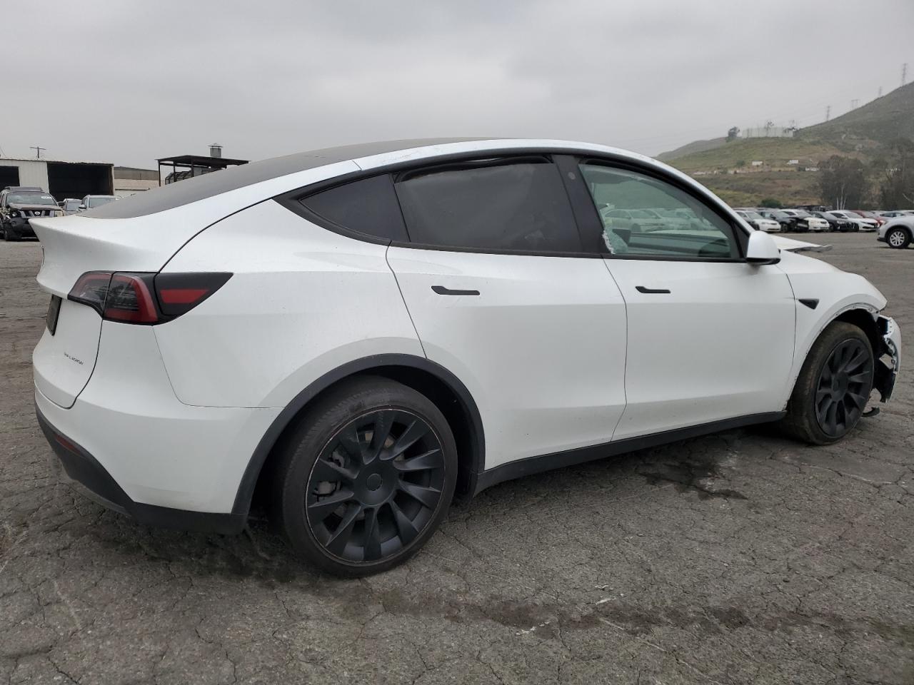 Lot #3028473923 2023 TESLA MODEL Y