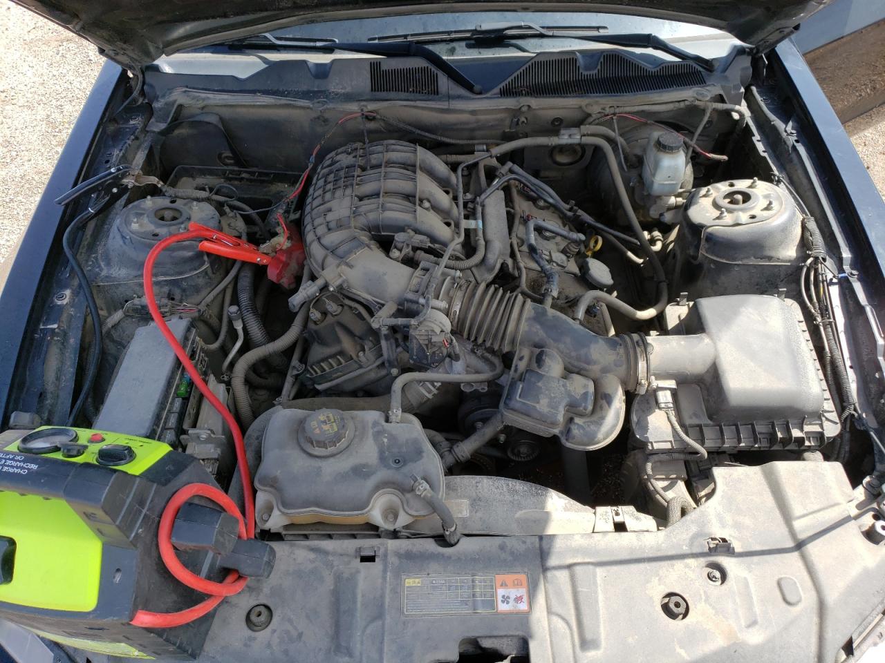 1ZVBP8AM9E5323295 2014 Ford Mustang