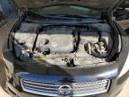 NISSAN MAXIMA S photo