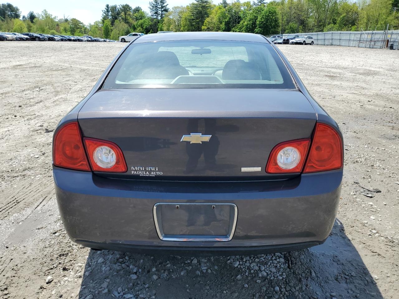 1G1ZA5E04AF254571 2010 Chevrolet Malibu Ls